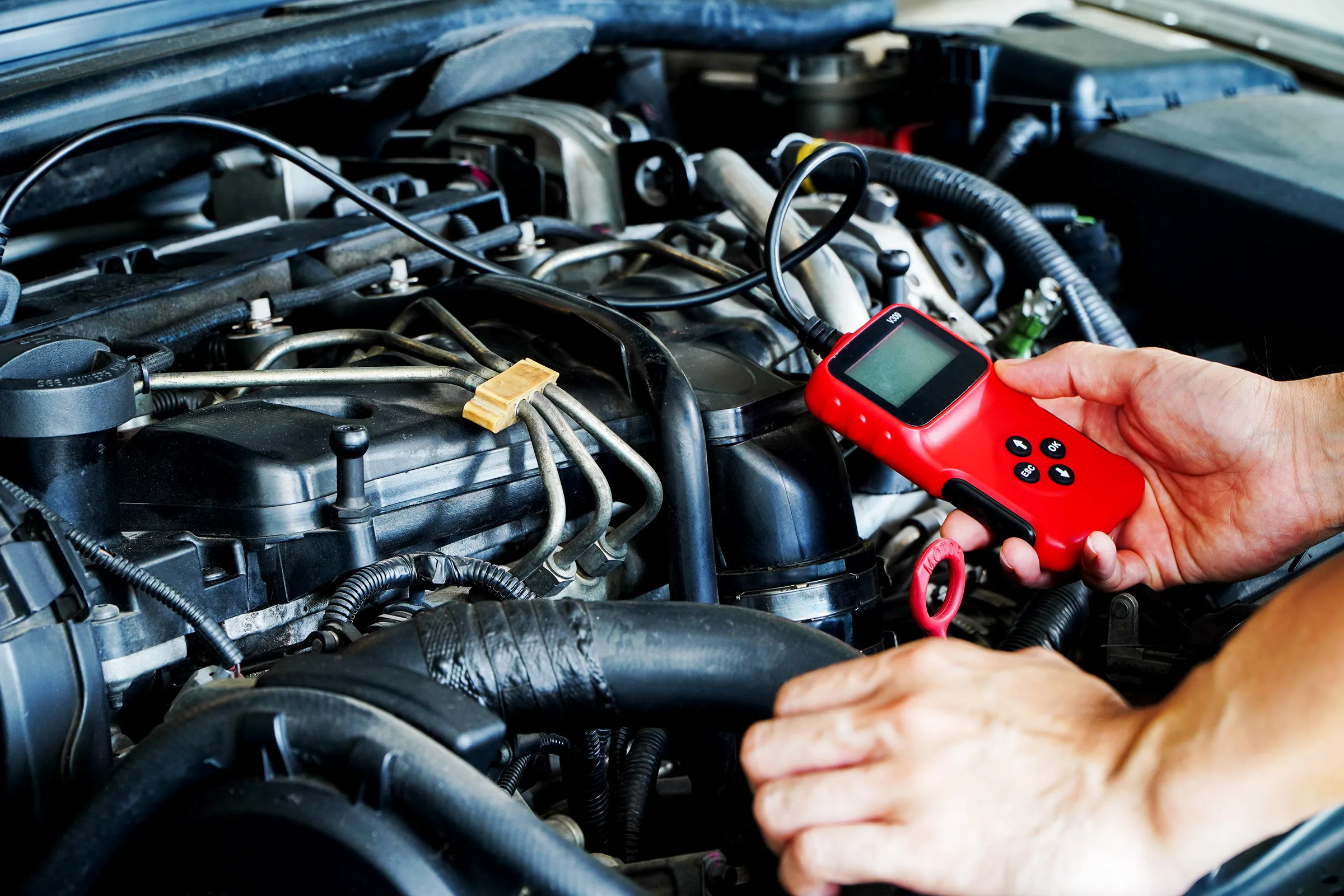 Comprehensive Services: